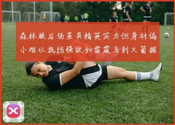森林狼后场虽具精英实力但身材偏小难以抵挡强敌如雷霆马刺火箭掘金
